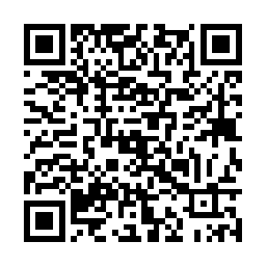 风雪世家的长老们肯定不会同意一个外人继任城主二维码生成