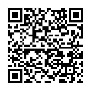 飞快的掏出被塞到手上挽着的小手袋里的遮天红布二维码生成