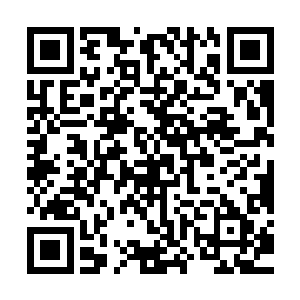 飞机兄弟会的树屋基地已经在野狼城堡内的那些女生中小有名气二维码生成