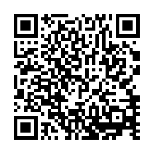 首先是把当初和他大哥联系过的几个殿下的党羽尽皆抓起来二维码生成