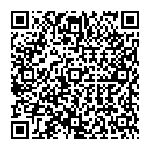 首先看到的是一团突然耀眼起来的红光……而几乎在秦方发现这一团红光突然闪耀起来的时候二维码生成