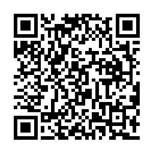 马上用手指着围坐在一张大圆桌旁的赵长枪等人二维码生成