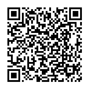 马塞尔・莱夫的滔滔不绝完全被淹没在了拜仁慕尼黑球迷们的欢呼声中二维码生成