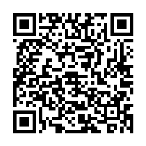 马思琪装作无意问起王禹慈今日和殷暖相处怎么样二维码生成
