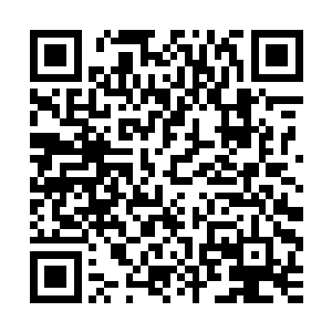 马文都懒得吐槽她的话了――什么叫不能继续送我去至高丛林了二维码生成