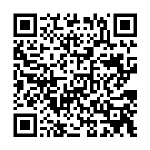 马某绝不愿意看到任何一条性命无辜或是毫无意义的死去二维码生成