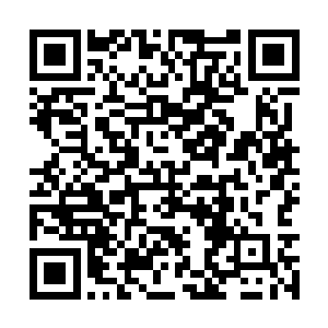 骨器可以承载一定的精神力但不能承载完整的魂魄二维码生成