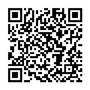 骨子里却已经是一个独自在社会上摸爬滚打了十几年二维码生成