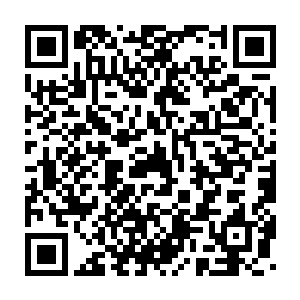 骨皇所凝聚出来的虚实梦境也开始疯狂的吞噬起那恐怖的黑色乱流二维码生成