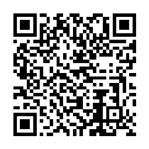 高扬和李金方可是在李鹏飞他们开的安保公司里有股份的二维码生成