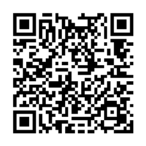 高扬总习惯所有的作战装备都在最方便取用的位置二维码生成