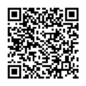 高扬的这第一炮对叙利亚军方来说不啻于引爆了一枚核弹二维码生成
