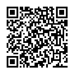 高扬还成功的把绿色和平与海洋守护者这样的组织给拖下了水二维码生成