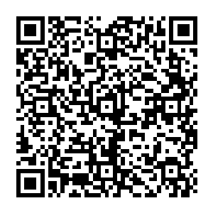 高挑而柔软的身躯在满是达官贵人的宴会中如同蝴蝶一般飞舞举着酒杯和所有人谈笑风生二维码生成