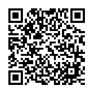 高高在上的暗之始龙跟了一个连大罗金仙层次都不到的修真者二维码生成