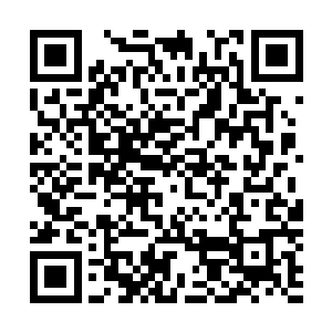 鬼天程等少数能对削弱版主宰造成威胁的几个六阶无敌神皇二维码生成