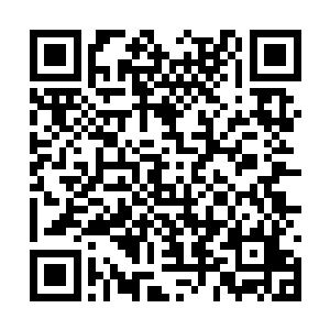 鬼梦游成熟开放后是幽浮岛长霄殿指名收取的灵药二维码生成