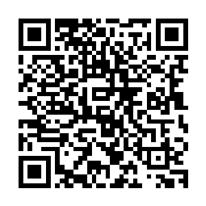 鬼谷子实在没有想到如今世俗之人居然能够拒绝的了丹药的诱惑二维码生成
