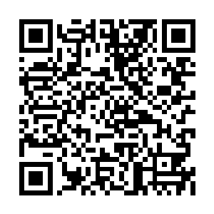 魏厨子还记得因为我去南岳导致大红被卢总抓走二维码生成