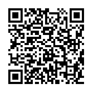 魏崇等人的目光扫视过跟在府令和统领大人身后的指挥使等仙官二维码生成
