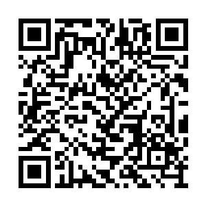 魏杨龙和章素离两人都给自家的招数震飞了出去二维码生成