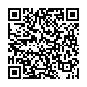 魔方管家又一本正经到厨房端着苏落做好的菜肴上去二维码生成