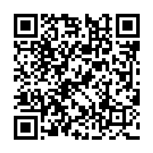 魔道的高手才可以施展的一种特殊的自残式的秘法二维码生成