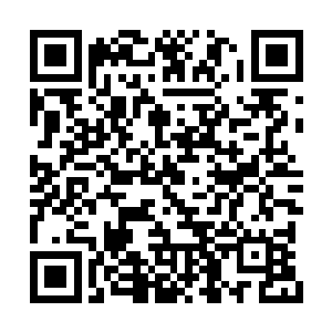 鲁国的国君正在和莲尊教新推举的教主把酒言欢二维码生成