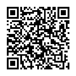 鲜血小枪如同刀阵暴雨一般倾泻在灼灼燃烧的屠神之盘表面二维码生成