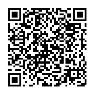 鸡鸭每月五只……奴才的食用半……加起来满打满算也没有五十两银子一月二维码生成