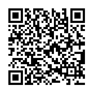 鸿蒙界终于在栖霞界获得了它们的第一块进攻领地二维码生成