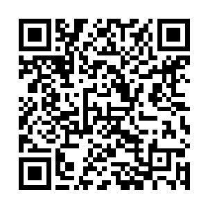 黎飞雨这位离字旗旗主对使徒的了解都只限于一些传闻二维码生成