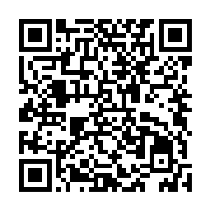 黑暗的海水黯淡了它们原本的光泽却无法遮掩它们的美丽二维码生成
