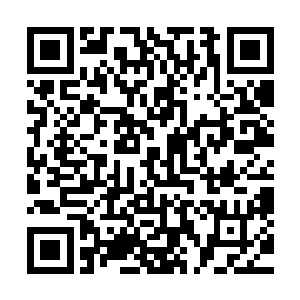 黑白相间的善恶树和生命树也是从他们四周的虚空中浮现出来二维码生成