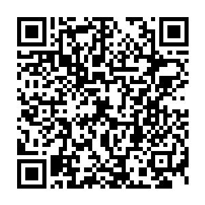黑脸男子和其他人才把已经痛得涕泗滂沱的苟延生扶起来往医院里送去二维码生成