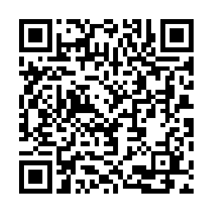 黛玻菈穿着一件厚实的羽绒服跟着荣光来到了附近的公园二维码生成