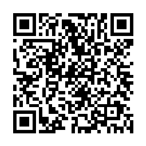 黛玻菈这才发现刚才那几声咳嗽是荣光今天唯一的咳嗽……二维码生成