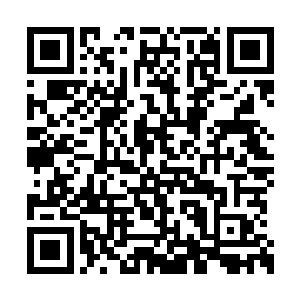 齐王妃安排的这一幕简直就是专门为自己设计的二维码生成