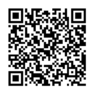 龙傲天一而再再而三的讽刺轻视终于完全激怒了这些人二维码生成