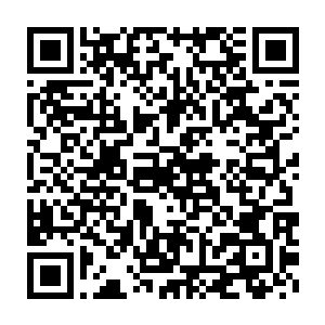 龙傲天从这珠子上面感受到了一股无比恐怖的浓浓的玄黄之力的气息二维码生成