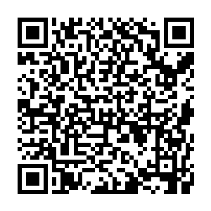 龙傲天听了小金的话顿时想到了修真记载中化蛟成龙是必须经过天劫洗礼的二维码生成