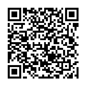 龙傲天对于天罗宗的评价也再一次提升了一个档次二维码生成