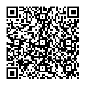 龙傲天想要试验一下再不使用五行幻灭大阵的情况下他自身的战斗力到底是什么样子的二维码生成