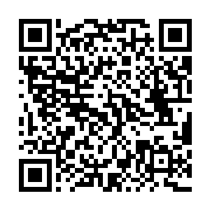 龙傲天感觉自己主世界的一切竟然完全带到了这个世界之中二维码生成