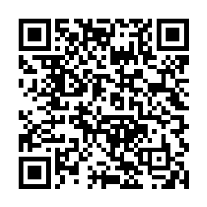 龙傲天的样子看上去顶多也就是跟他们差不多的样子二维码生成