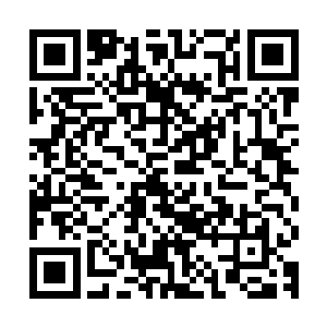 龙傲天这一次算是见识到了大秦帝国的这些大家族子弟的无耻了二维码生成