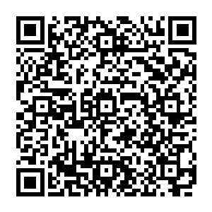 龙告诉我八两叔他们去和那日从炼尸塔之中出来的一干阴阳先生一起商议如何下墓的事情了二维码生成