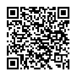 龙国内陆的诸多传承数百上千年的古老宗门的强悍底蕴二维码生成