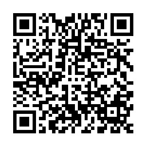 龙宇会因为身体里承载不了这么多力量而出现经脉爆裂的可能二维码生成