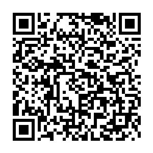龙弦是看着龙野从一个只会吃奶的小娃娃变成现在能独当一面猎手的二维码生成